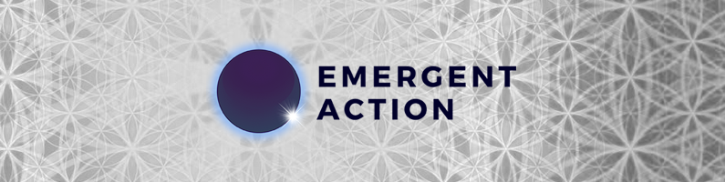 Emergent Action Update—July 2016