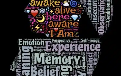 When Two Truths Collide: Learning to Act in a Complex World